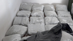 Zaplenjna marihuana 