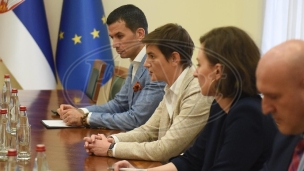 Brnabić na sednici Saveta bezbednosti